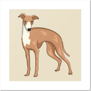 Greyhound dog cartoon illustration Posters and Art